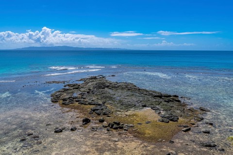 Reef in the lagoon, Taveuni, Fiji, South Pacific, Oceania