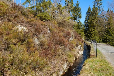 Rehberger Graben, moat, Geopark, St. Andreasberg, Harz National Park, Lower Saxony, Germany, Europe