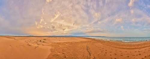 Beach "Platja del Fangar", sand dunes, Vegetation, nature reserve, ebro delta, Catalonia, Spain,