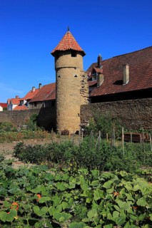 Part of the old town wall and in front of it the moat gardens, Mainbernheim, Lower Franconia,