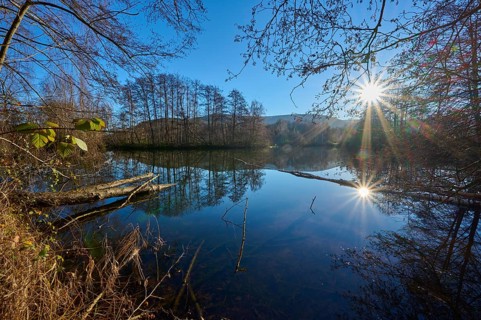 Lake at sunrise, Freudenberg am Main, Untermain, Spessart, Odenwald, Franconia, Baden-Württemberg,