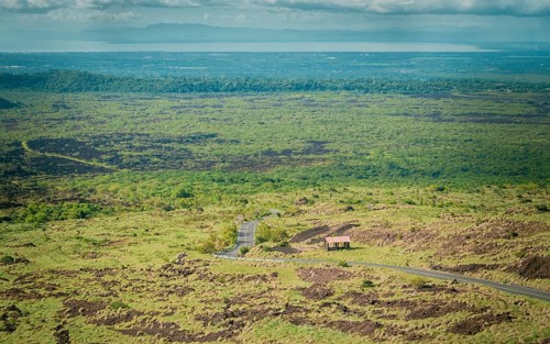 Panoramic view of a road surrounded by vegetation, Landscape of an urban road surrounded by