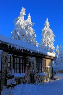 Asenhuette on the Ochsenkopf, Fichtelgebirge, Bayreuth County, Upper Franconia, Bavaria, Germany,