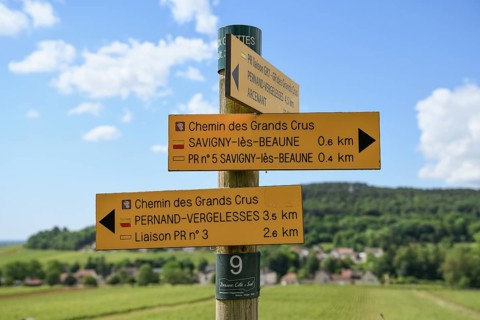 Signpost on the Route des Grands-Crus, Route of Fine Wines, near Savigny-lès-Beaune, Département