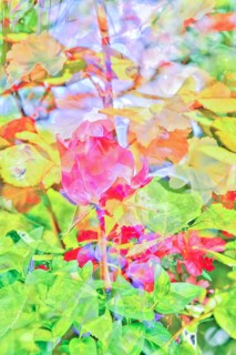 Oil painting, rose (pink), delicate bright flowers, red, yellow and orange flowers creative,