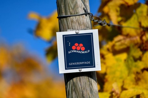 Sign Genießerpfade Black Forest, in the background vines, near Durbach, Ortenaukreis, Black Forest,