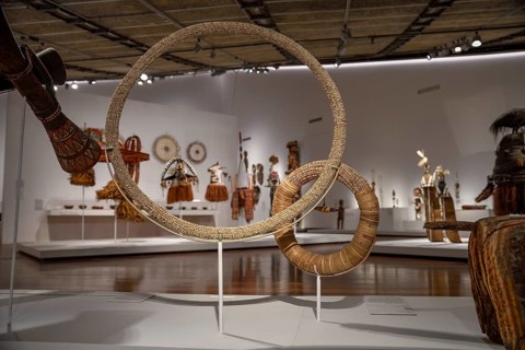 Shell money hoops in the National Museum, made by the Tolai tribe from the houses of the Nassa