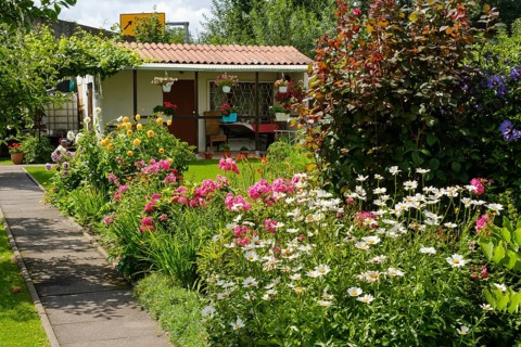 Blooming flowers in front of garden arbour in allotment garden, allotment garden, Dortmund, North