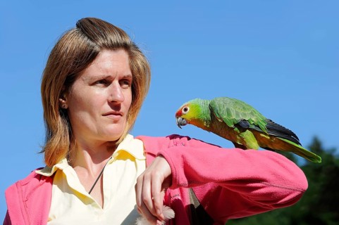 Woman with ecuador amazon (Amazona autumnalis lilacina), France, Europe