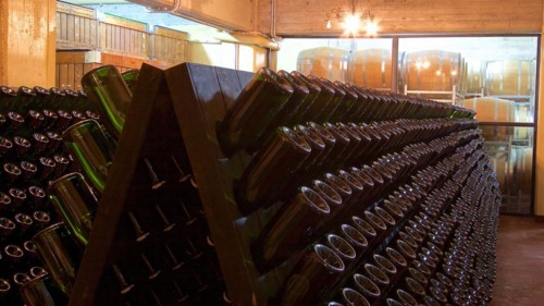 Champagne bottles on shaking desks in a traditional wine cellar, Sicilian wine, Sicily, Italy,