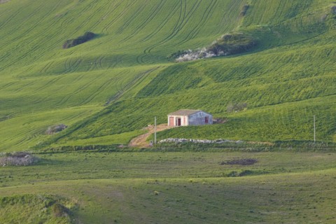 Green hills, fields, hut, Madonie National Park, spring, Sicily, Italy, Europe
