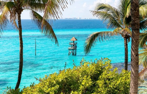 Palm trees at Garrafon Natural Reef park, Isla Mujeres, Caribbean Coast, Cancun, Quintana Roo,