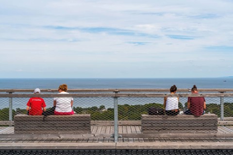 Visitors look from the Usedom treetop walk to the Baltic Sea, Baltic resort Heringsdorf, Usedom