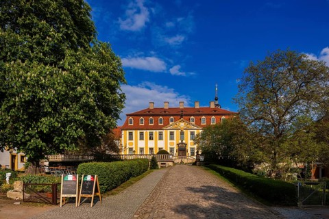 Diesbar Seußlitz, Castle