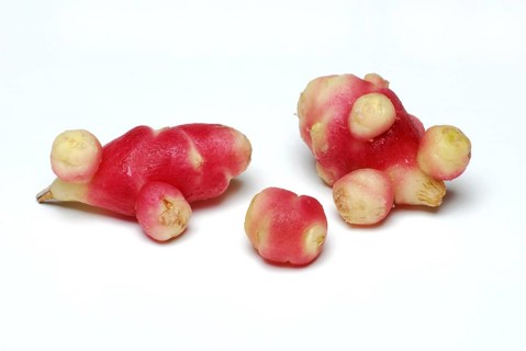 Oca, Oka, Yam, Oca (Oxalis tuberosa), Oca-Cola, Oca-Cola