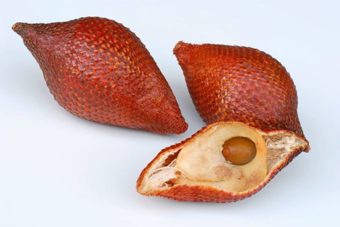 Salak (Salacca edulis)