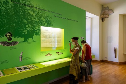 Fürts Pückler Park and Bad Muskau Castle, exhibition in the castle