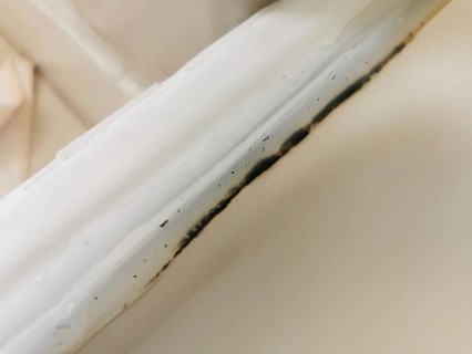Mould formation on the silicone seal of a shower cubicle