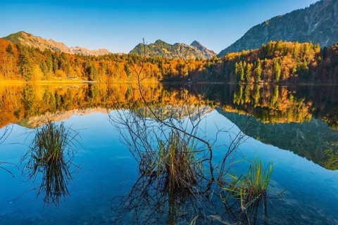 Freibergsee, near Oberstdorf, with the Allgäu Alps behind, Allgäu, Bavaria, Germany, Europe