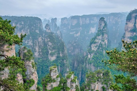Famous tourist attraction of China, Zhangjiajie stone pillars cliff mountains in fog clouds at