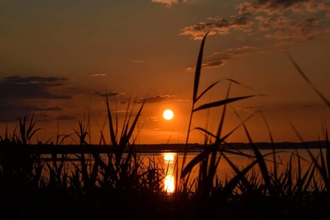 Sunset in Hirschauer Bucht on Lake Chiemsee in the nature reserve at the mouth of the Tiroler