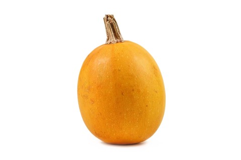 Single yellow skinned Spaghetti squash on white background