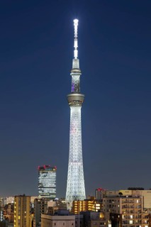 Tokyo SkyTree tower with the skyline skyscrapers at night in Tokyo, Japan, Asia