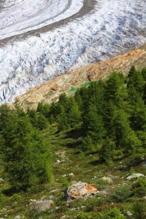 Aletsch Glacier, Valais, Switzerland, Aletsch Glacier, Europe
