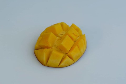 Mango (Mangifera indica) fruit, mango fruit, fruit, Sumacaceae, Anacardiaceae, crop, object,