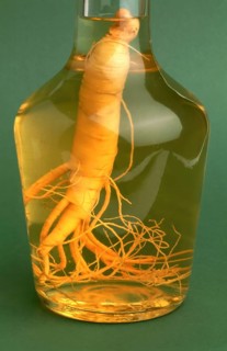 Ginseng (Panax ginseng) Ginseng wine, ginseng, ginseng root, medicinal plant of Asian medicine