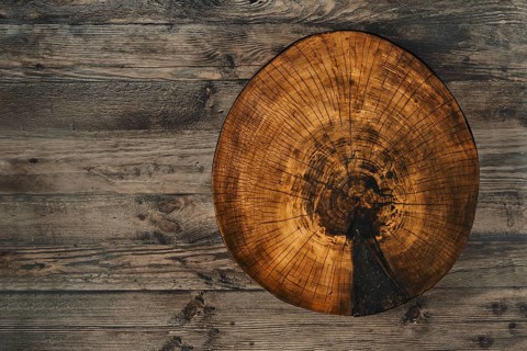 A rustic log slice for chopping food showcases its natural texture and growth rings while lying on