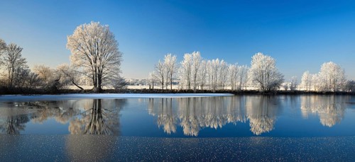 Half-frozen small lake in winter, arm of the Saale, trees with snow and hoarfrost on the shore, ice