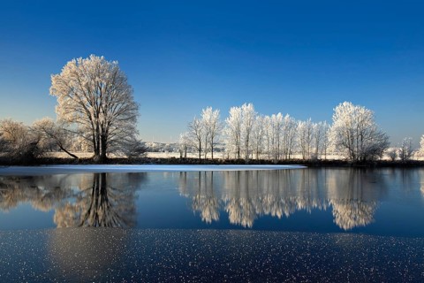 Half-frozen small lake in winter, arm of the Saale, trees with snow and hoarfrost on the shore, ice