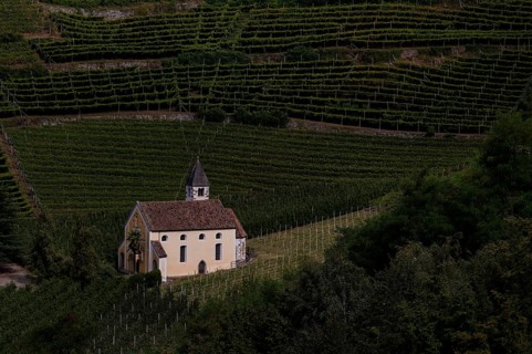 Pilgrimage church of St Valentine, Valentine's church, between vineyards, vineyards, Maia Alta,