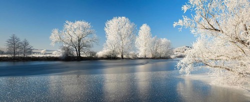 Half-frozen small lake in winter, arm of the Saale, trees with snow and hoarfrost on the shore, ice