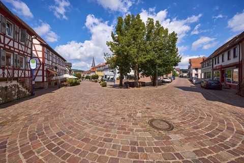 Lime tree square with summer lime trees (Tilia platyphyllos), bus stop and street layout under blue