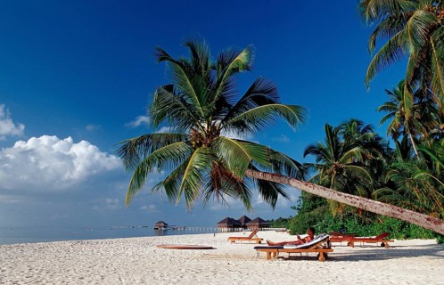 Beach on Maldives Island, Maldives, Indian Ocean, Medhufushi, Meemu Atoll, Asia