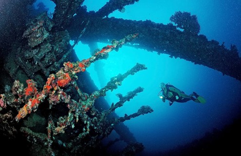 Diver on the Umbria shipwreck, Sudan, Africa, Red Sea, Wingate Reef, Africa