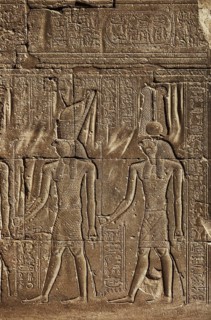 Ancient egypt carving image of Horus god on wall of temple