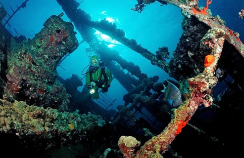 Diver on the Umbria shipwreck, Sudan, Africa, Red Sea, Wingate Reef, Africa