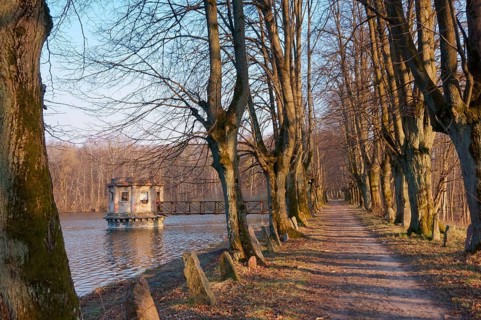 Alley on the lake, old observation deck on the pond, observation gazebo on the lake, Kolosovka