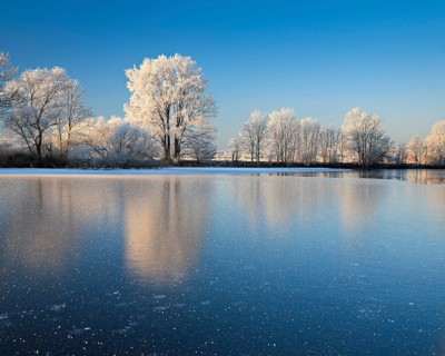 Half-frozen small lake in winter, arm of the Saale, trees with snow and hoarfrost on the shore, ice