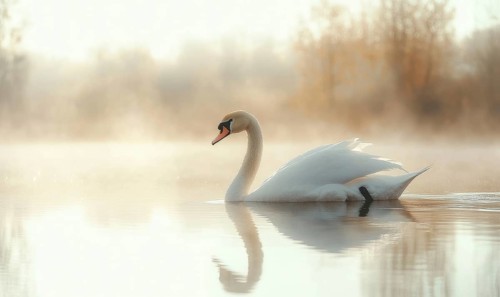 White swan gliding across a reflective pond AI generated