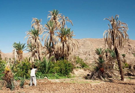 Persian farmers in garmeh oasis near yazd in iran