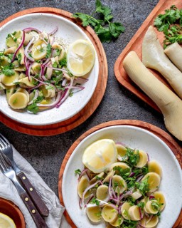 SEAWEED ULTE or HULTE. Chilean ulte salad ceviche with purple onion, coriander and lemon juice.