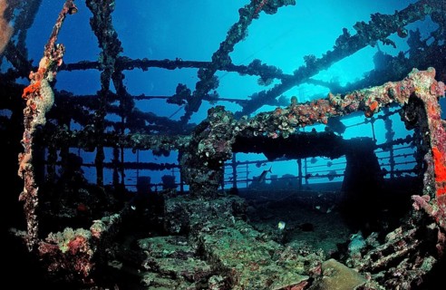 Diver on the Umbria shipwreck, Sudan, Africa, Red Sea, Wingate Reef, Africa