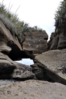 Limestone erosion at the Truman Track, Paparoa National Park, West Coast, South Island, New