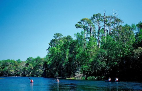 Diver in Rainbow River, USA, Florida, FL, North America