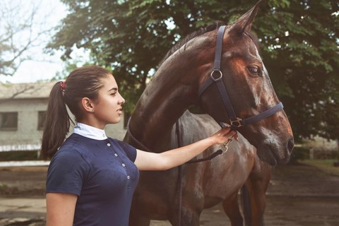A young girl talking and takes care of her horse. She loves the animals and joyfully spends her