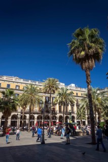 Plaza real square famous landmark in central barcelona las ramblas old town spain